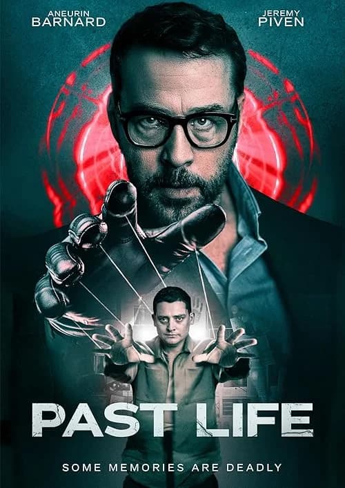 Past Life film posteri